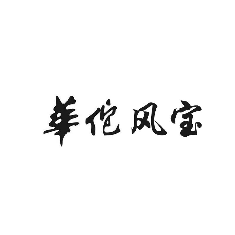 华佗风宝