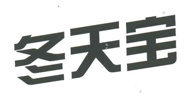 冬天宝