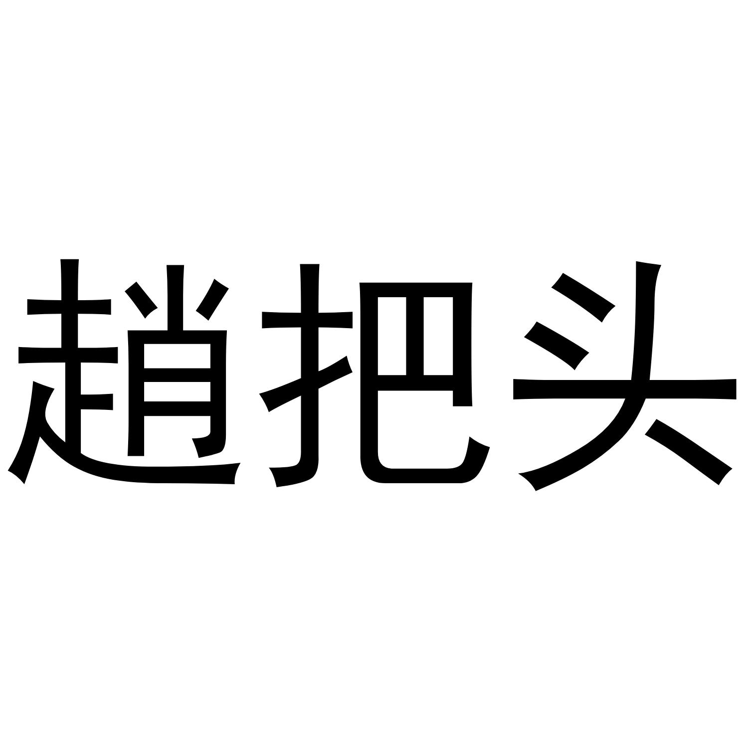 赵把头