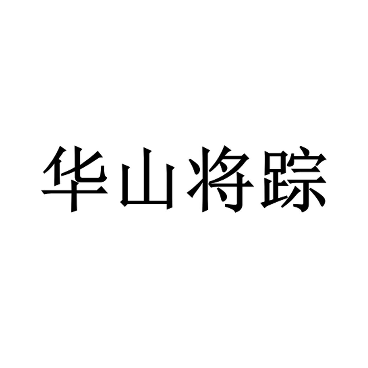 华山将踪