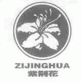 紫荆花