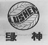 绿神