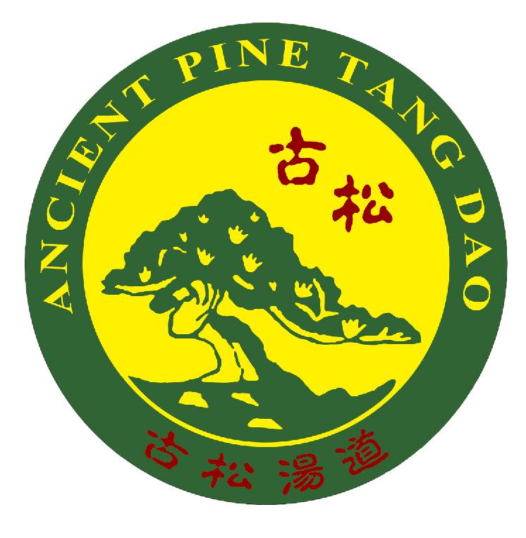 古松汤道 古松  ANCIENT PINE TANG DAO