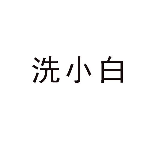洗小白