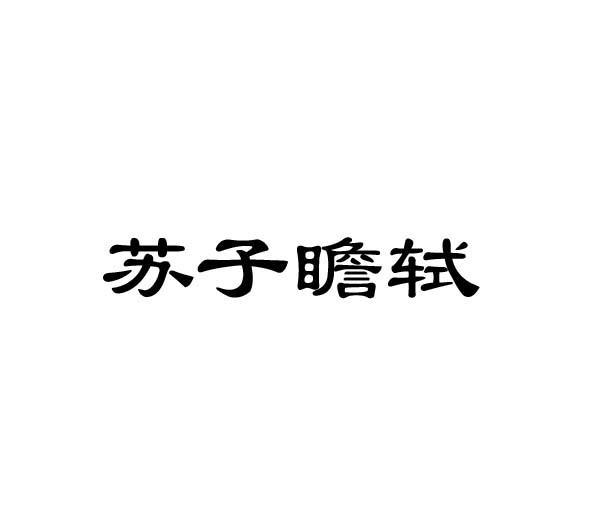 苏子瞻轼