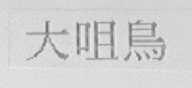 大咀鸟