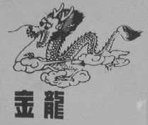 金龙