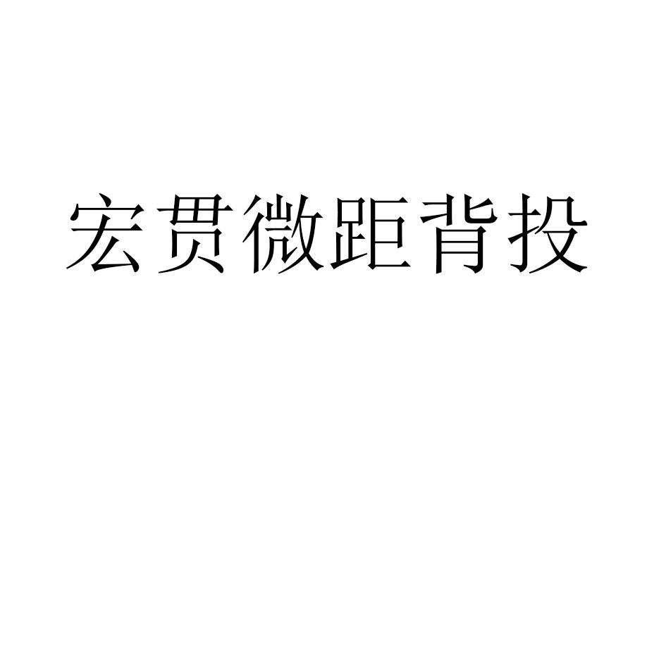 宏贯微距背投