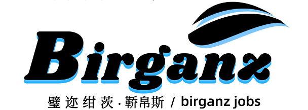 璧迩绀茨·鞒帛斯 BIRGANZ BIRGANZ JOBS
