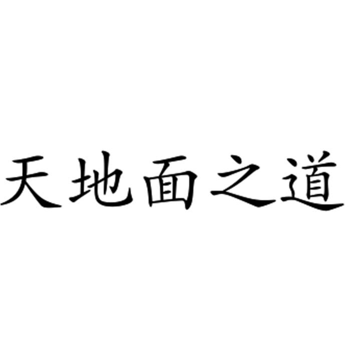 天地面之道