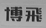 博飞