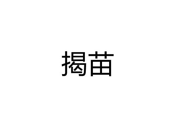 揭苗
