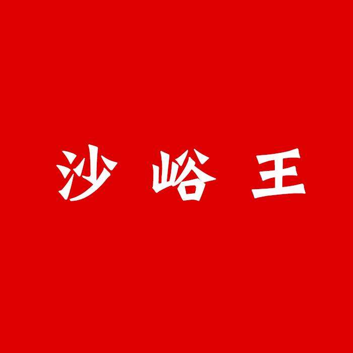 沙峪王