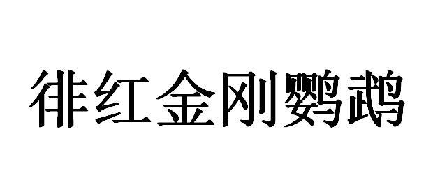 徘红金刚鹦鹉