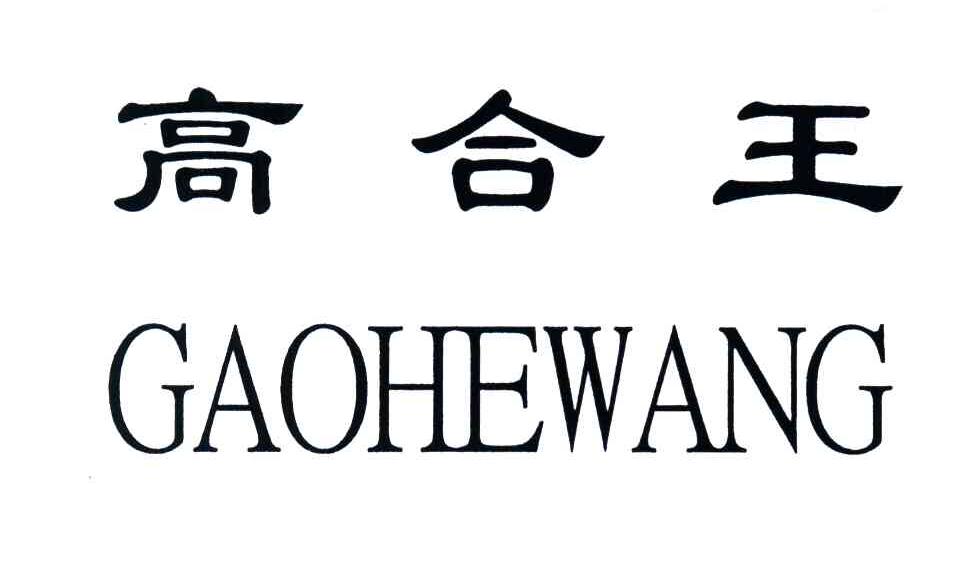 高合王