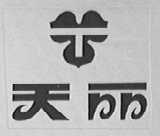 天丽