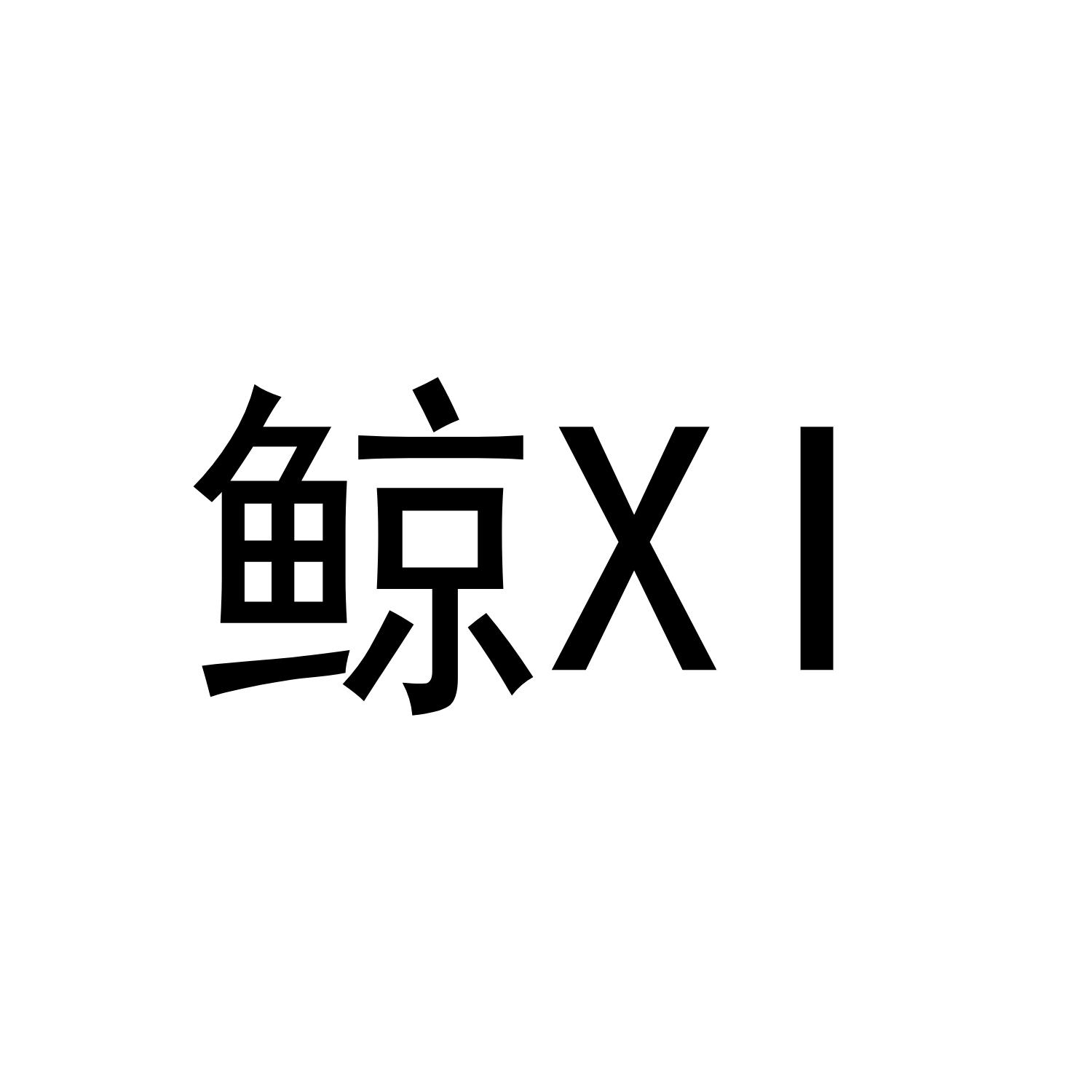 鲸 XI