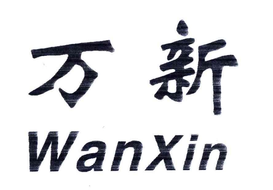 万新;WAN XIN