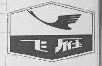 飞雁