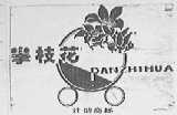 攀枝花