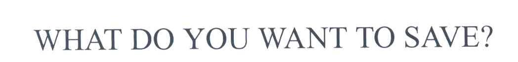 WHAT DO YOU WANT TO SAVE？