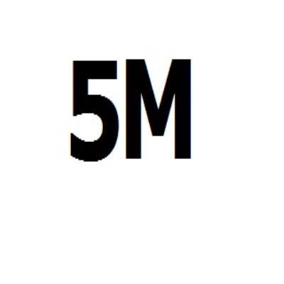 5M