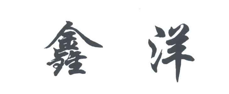 鑫洋