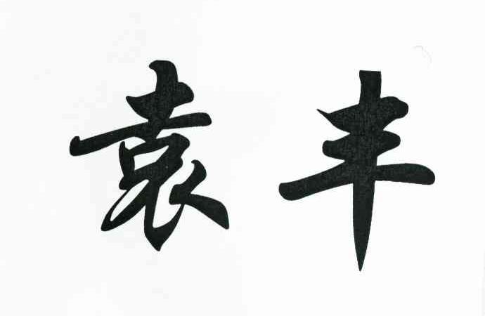 袁丰