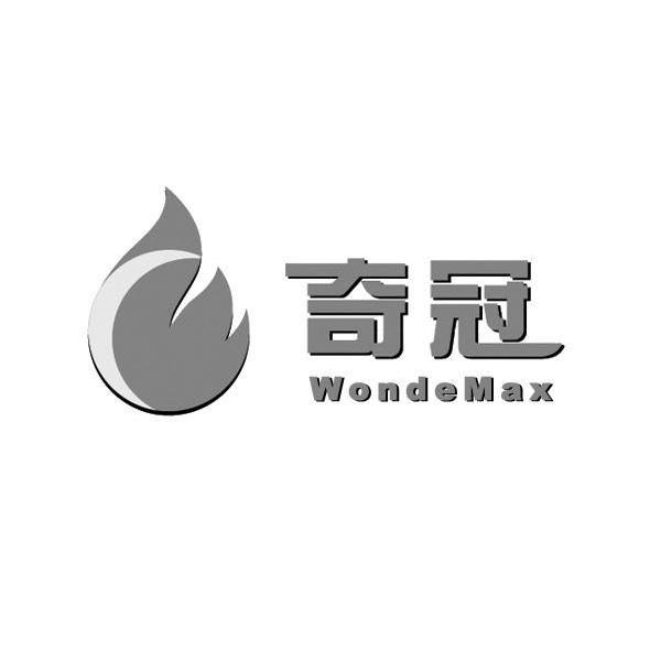 奇冠 WONDEMAX