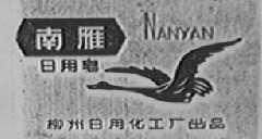 南雁