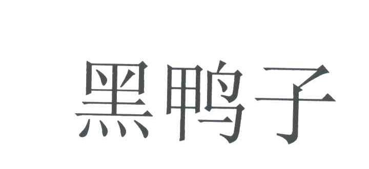黑鸭子