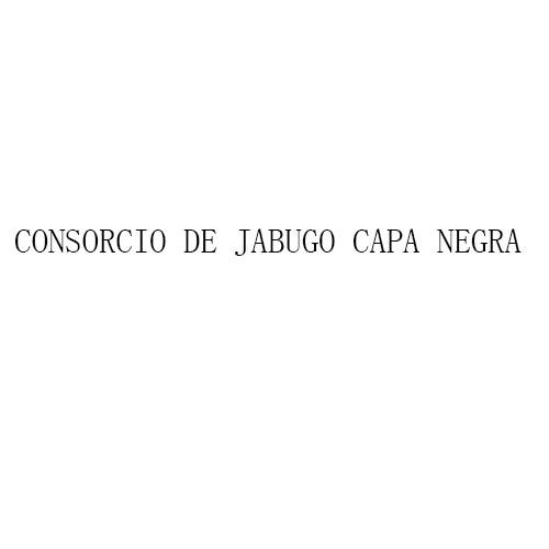 CONSORCIO DE JABUGO CAPA NEGRA