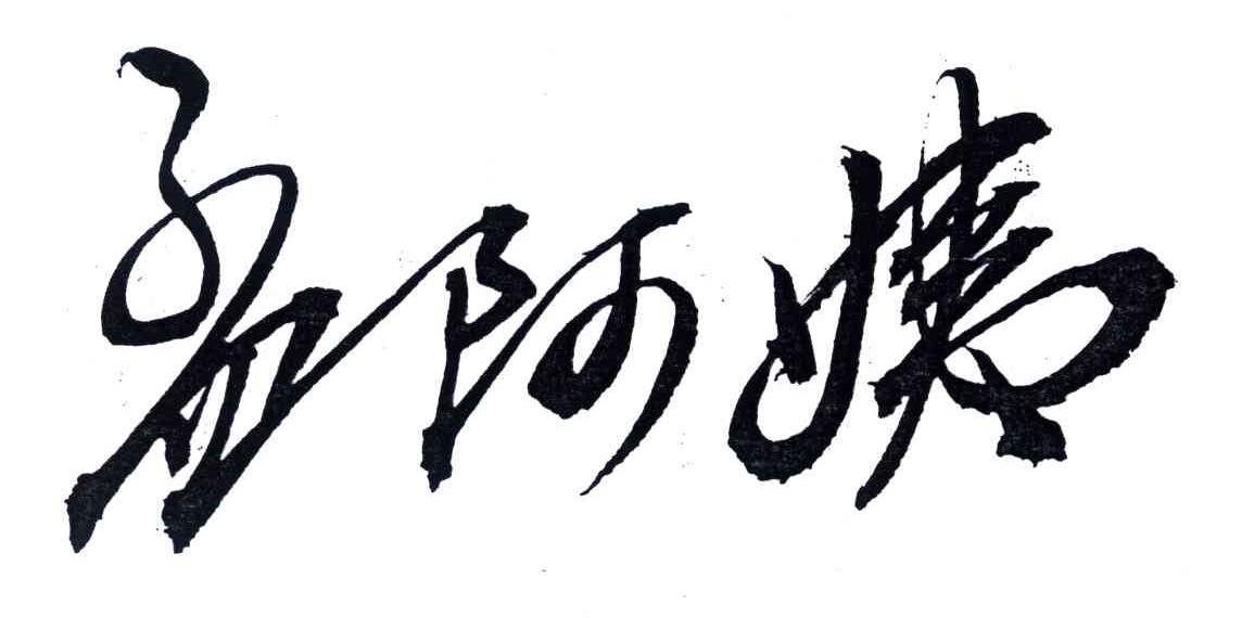 孟阿姨