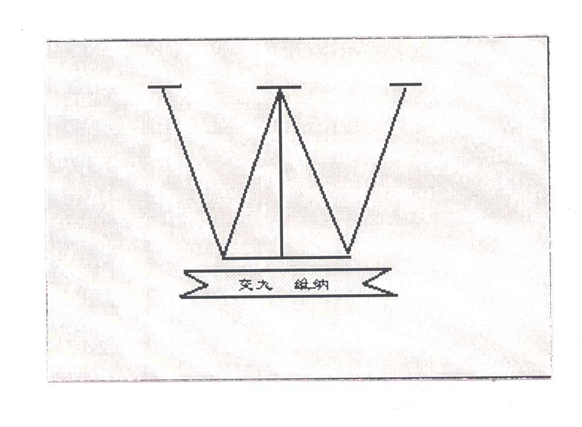 交大维纳