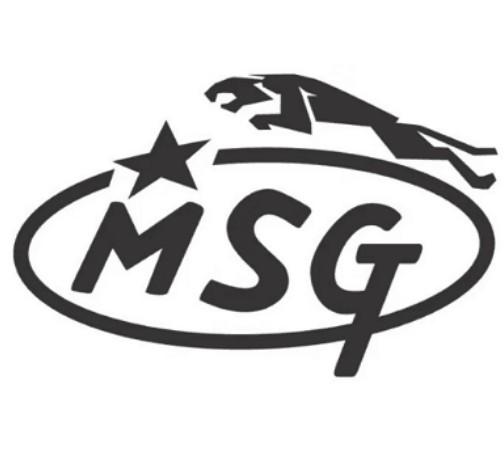 MSG
