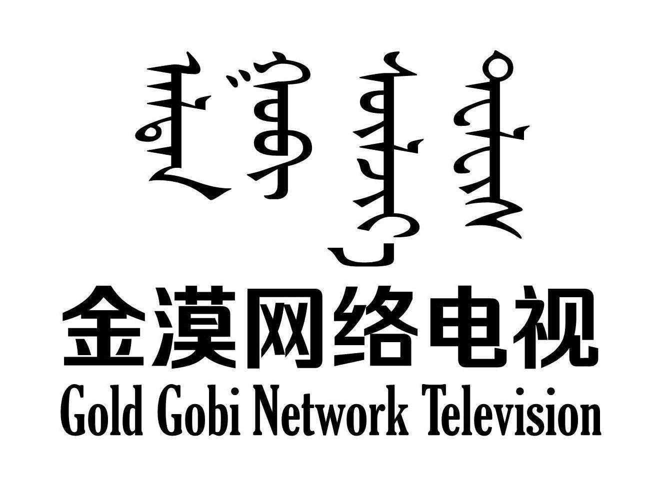 金漠网络电视  GOLD GOBI NETWORK TELEVISION