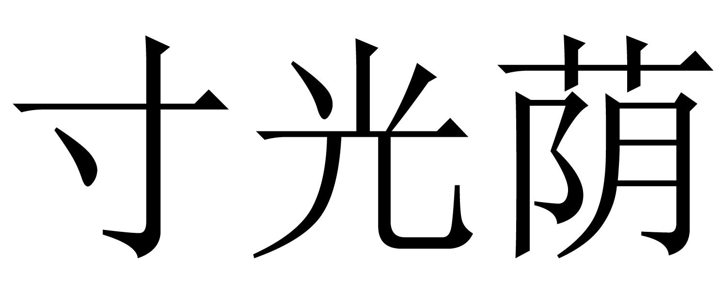 寸光荫