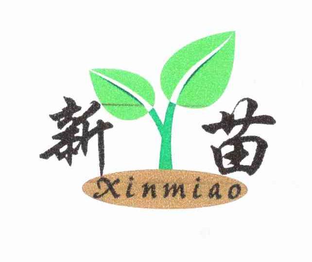 新苗
