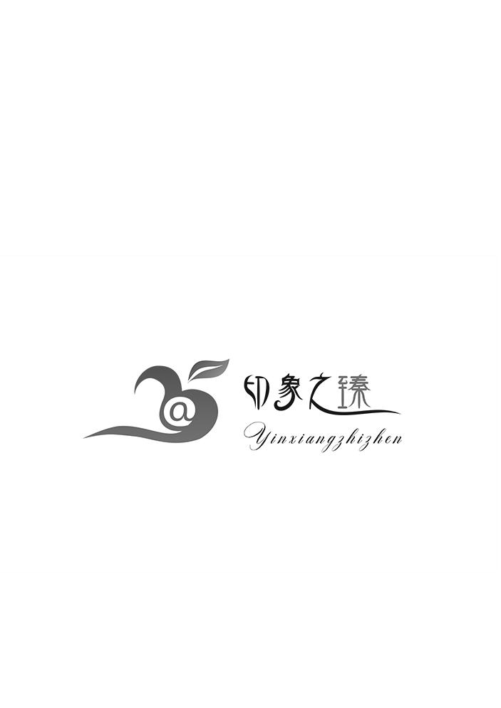 印象之臻