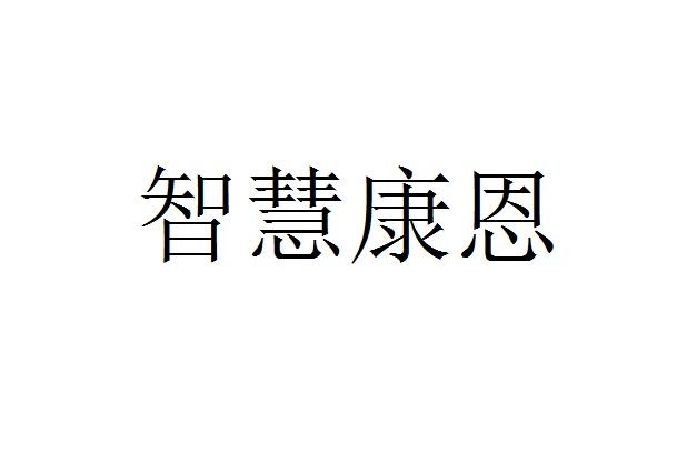 智慧康恩