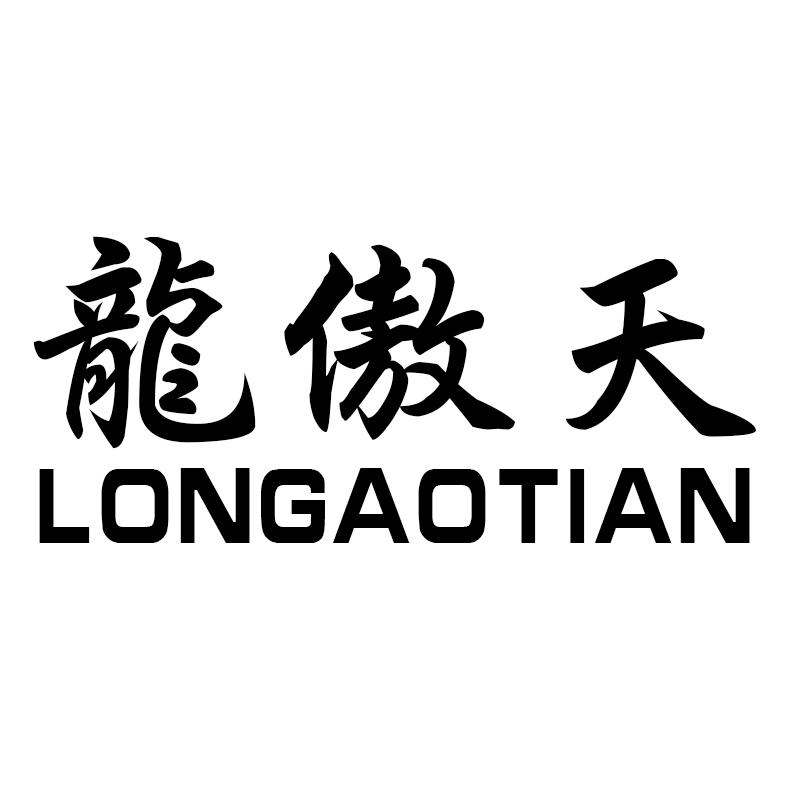 龙傲天