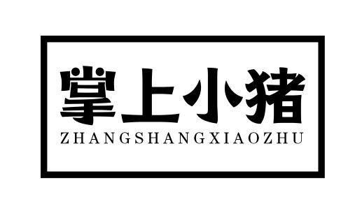 掌上小猪