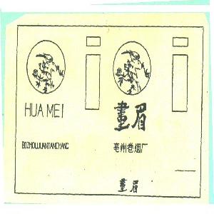 画眉