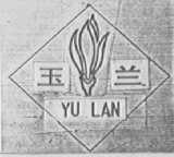 玉兰