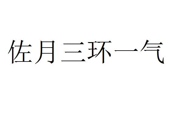 佐月三环一气