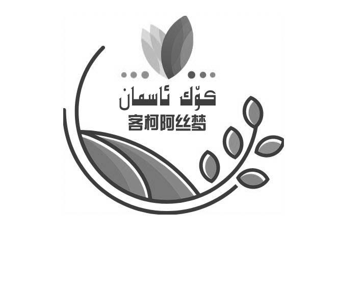 客柯阿丝梦