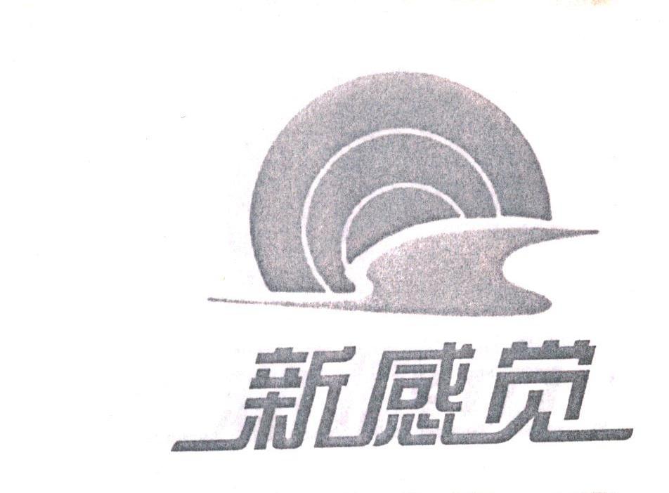 新感觉
