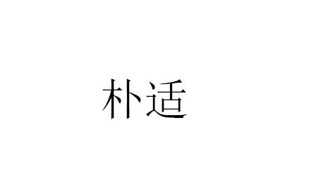 朴适