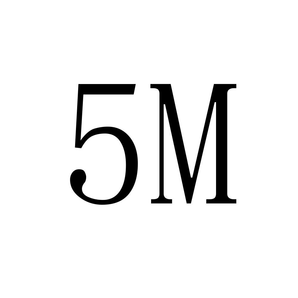 5M