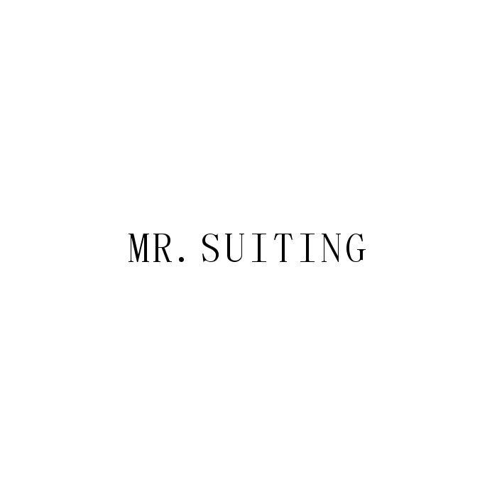 MR. SUITING